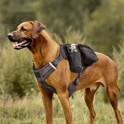 Pet Walking Dog Leash Chest Strap Comfortable Waterproof - My Store