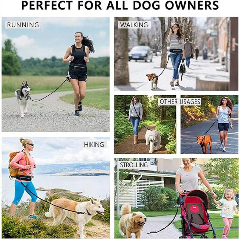 Pet Purse Leash For Dog Walking - My Store