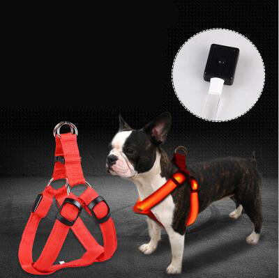 Pet Products LED Luminous Dog Chest Strap Large Dog Luminous Dog Leash - My Store