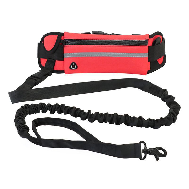 Pet Purse Leash For Dog Walking - My Store