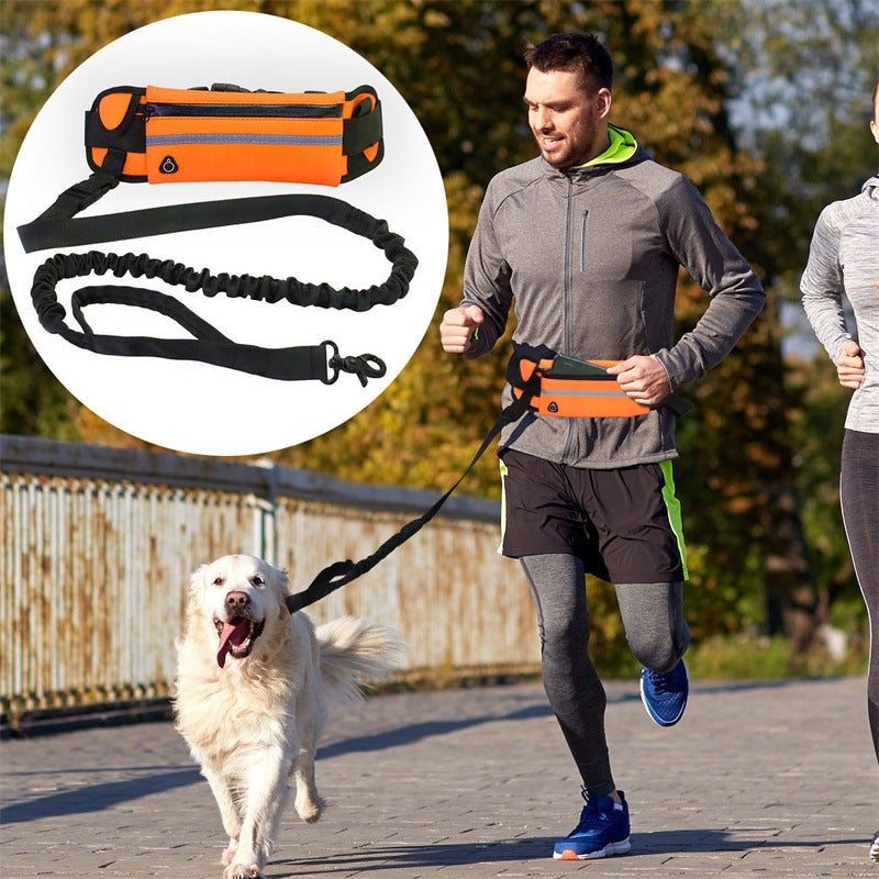 Pet Purse Leash For Dog Walking - My Store